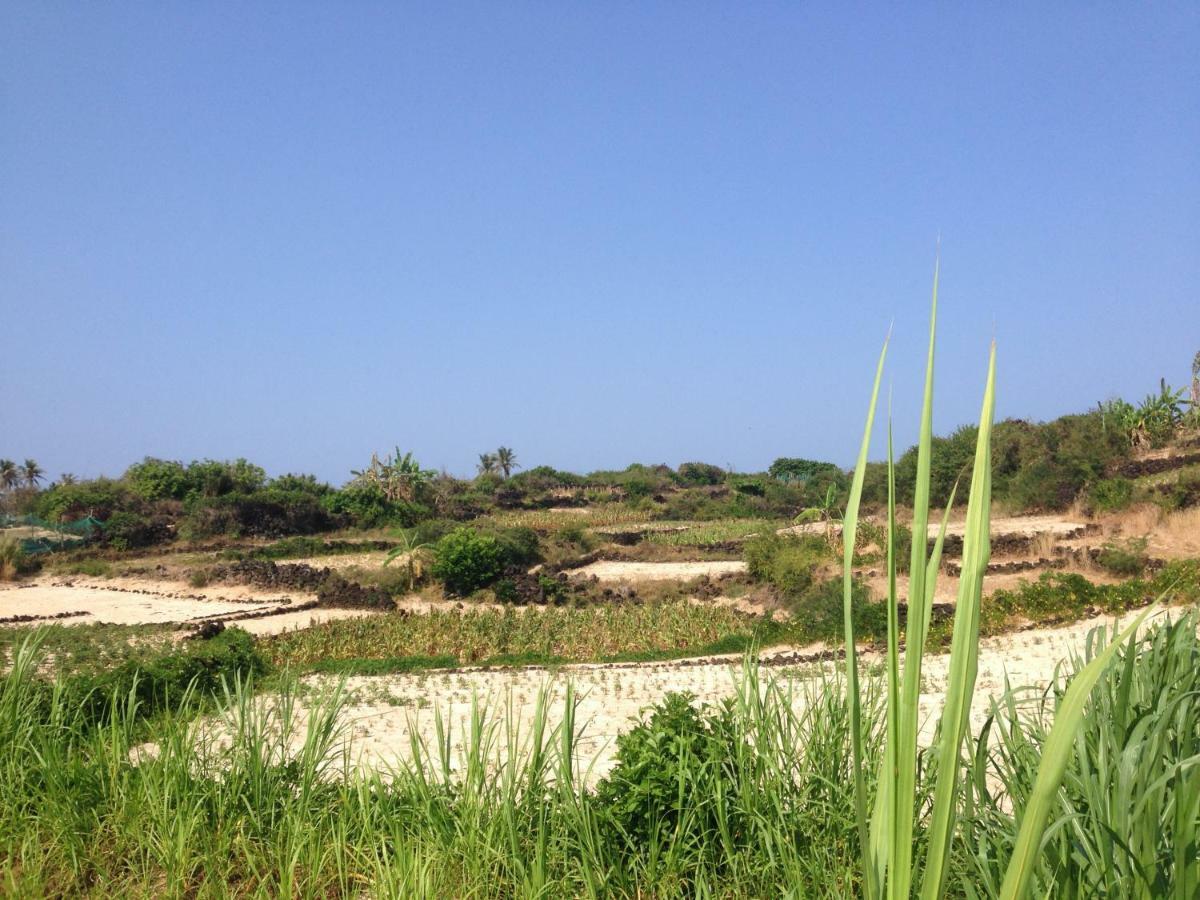 Countryside Homestay Quang Ngai Exterior photo